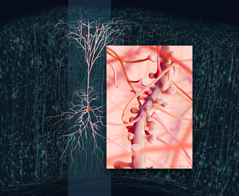 illustration: thousands of synapses michelle davis photoshop work