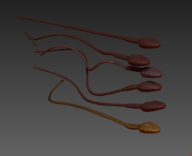 sperm variations in zbrush