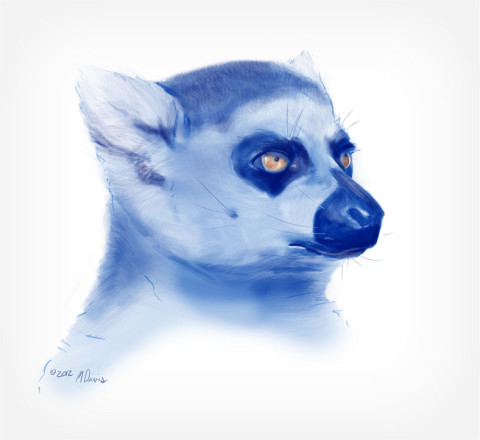 Lemur sketch 1 by Michelle Davis