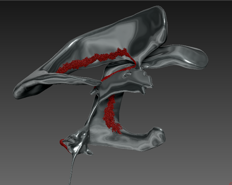 ZBrush bottom view of ventricles by michelle davis