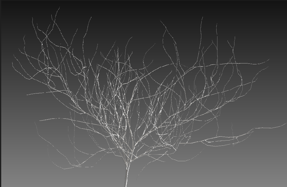 image of apical dendrites zbrush preview