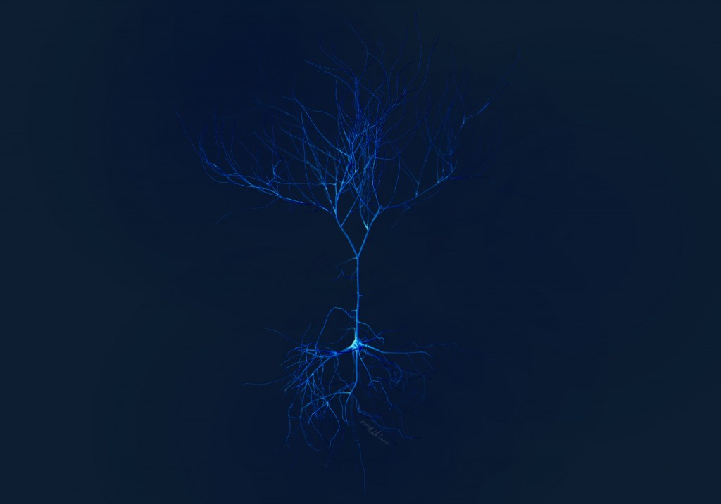 image of pyramidal neuron study in zbrush by michelle davis