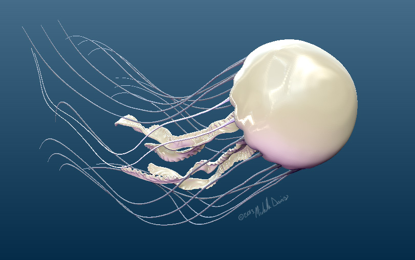 image of posed view of jellyfish 1 by michelle davis