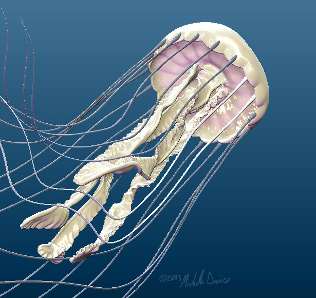 image of posed view of jellyfish 2 by michelle davis