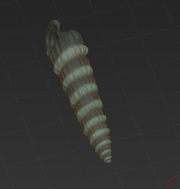 shell in zbrush