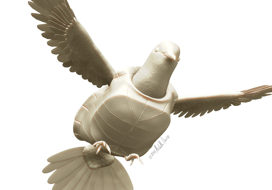 turtle-dove-mdavisstudios-web1