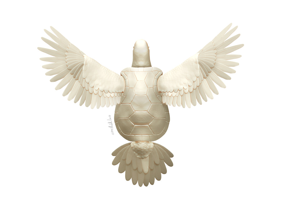 turtle-dove-mdavisstudios-web5