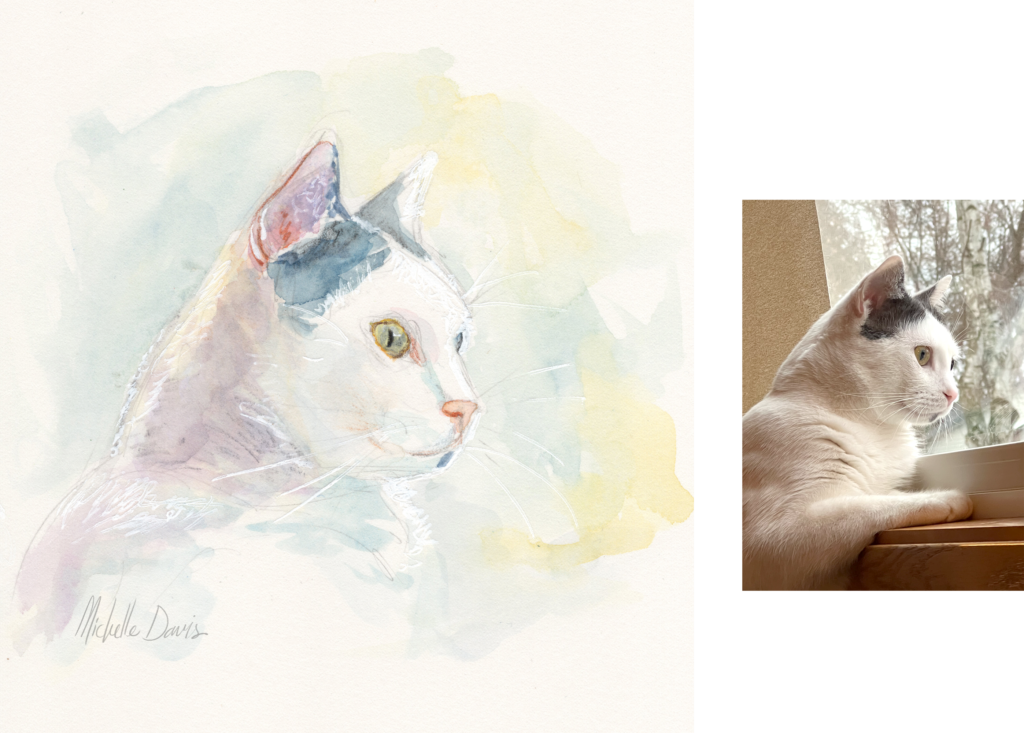 watercolor portrait of a cat next to its reference photo, Michelle Davis artist